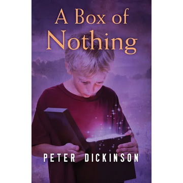 A Box of Nothing - Paperback