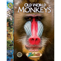 Old World Monkeys - Library Binding