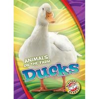 Ducks - Library Binding