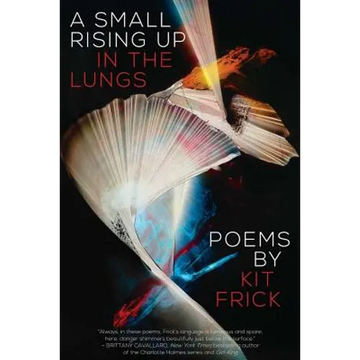 A Small Rising Up in the Lungs - Paperback