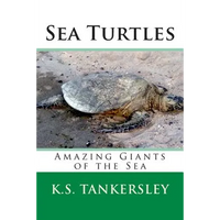 Sea Turtles: Amazing Giants of the Sea - Paperback