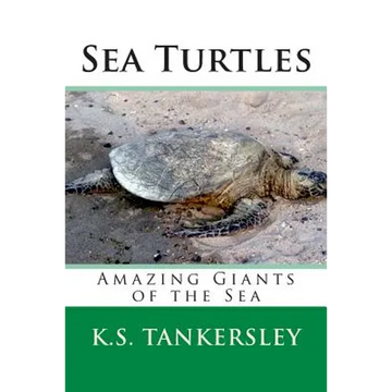 Sea Turtles: Amazing Giants of the Sea - Paperback