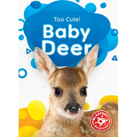 Baby Deer - Library Binding