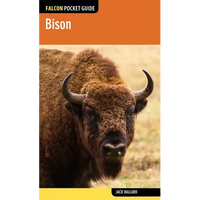 Bison - Paperback