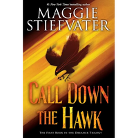 Call Down the Hawk (the Dreamer Trilogy, Book 1) - Paperback