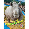 Rhinoceroses