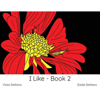 I Like - Book 2: VI - Paperback