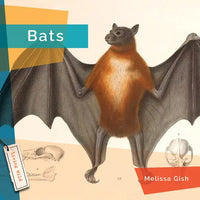 Bats - Library Binding