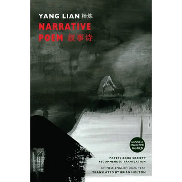 Narrative Poem - Paperback