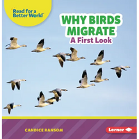 Why Birds Migrate: A First Look - Paperback