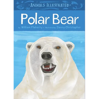 Animals Illustrated: Polar Bear - Hardcover