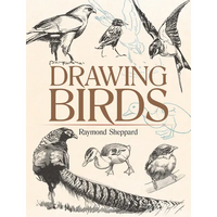 Drawing Birds - Paperback
