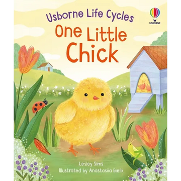 One Little Chick - Board Book