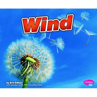Wind - Paperback