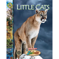 Little Cats - Library Binding