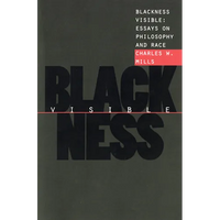 Blackness Visible - Paperback