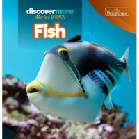 Fish - Library Binding