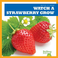 Watch a Strawberry Grow - Paperback
