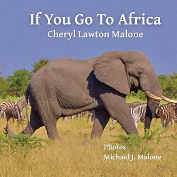 If You Go To Africa - Paperback