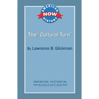 The 'Cultural Turn' - Paperback