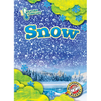 Snow - Library Binding