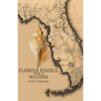 Florida Fossils: Mollusks - Paperback