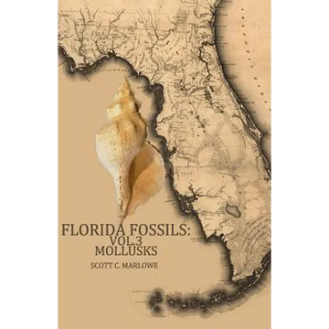 Florida Fossils: Mollusks - Paperback
