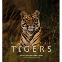 Remembering Tigers - Hardcover