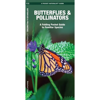Butterflies & Pollinators: A Folding Pocket Guide to Familiar Species - Paperback