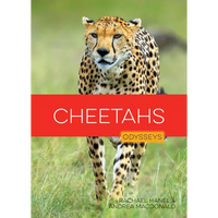 Cheetahs - Paperback