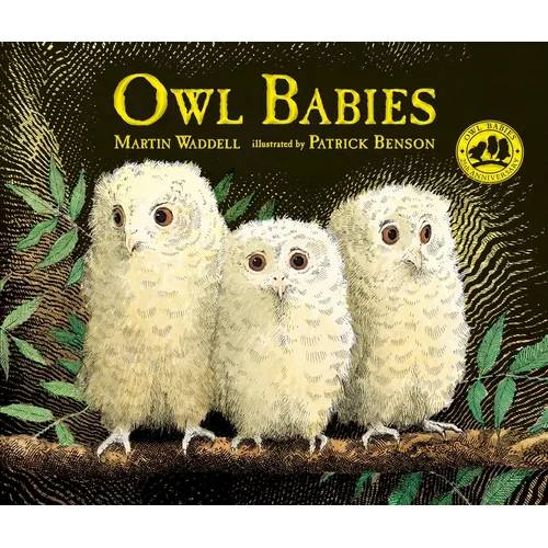 Owl Babies