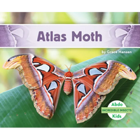 Atlas Moth - Library Binding