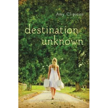 The Destination Unknown - Paperback