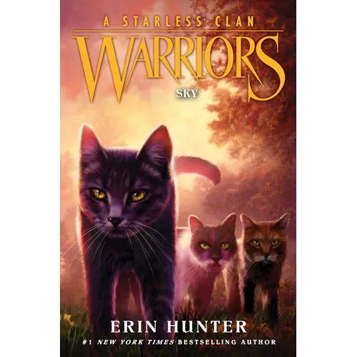 Warriors: A Starless Clan #2: Sky