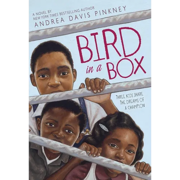 Bird in a Box - Paperback
