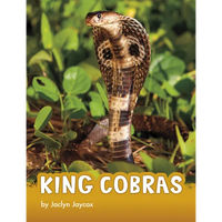 King Cobras - Paperback