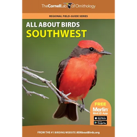 All about Birds Southwest - Paperback