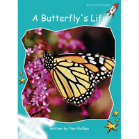 A Butterfly's Life - Paperback