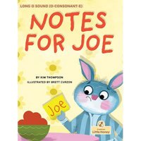 Notes for Joe - Paperback