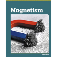 Magnetism - Library Binding