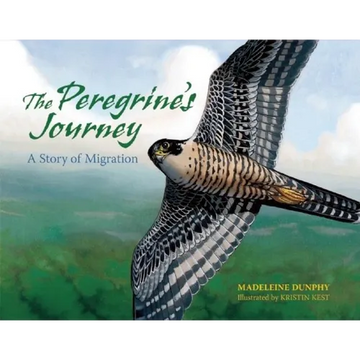 The Peregrine's Journey: A Story of Migration - Paperback
