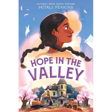 Hope in the Valley - Paperback