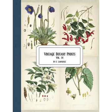 Vintage Botany Prints: Vol. 14 - Paperback