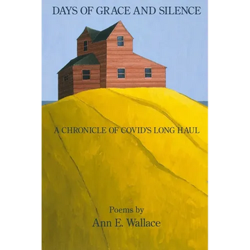 Days of Grace and Silence: A Chronicle of COVID's Long Haul - Paperback