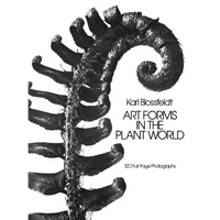 Art Forms in the Plant World - Paperback