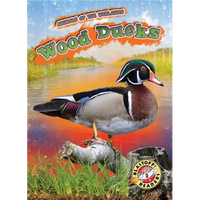 Wood Ducks - Library Binding