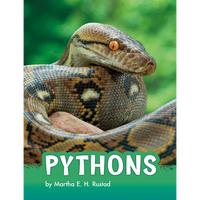 Pythons - Hardcover