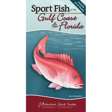 Sport Fish of the Gulf Coast & Florida: Your Way to Easily Identify Sport Fish - Spiral