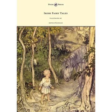 Irish Fairy Tales - Illustrated by Arthur Rackham - Paperback