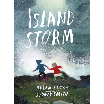 Island Storm - Hardcover
